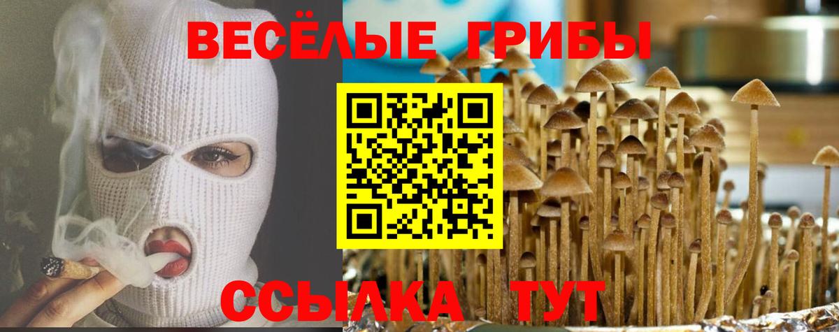 Псилоцибиновые грибы прущие грибы  цены наркотик  Биробиджан  Вход с VPN 
