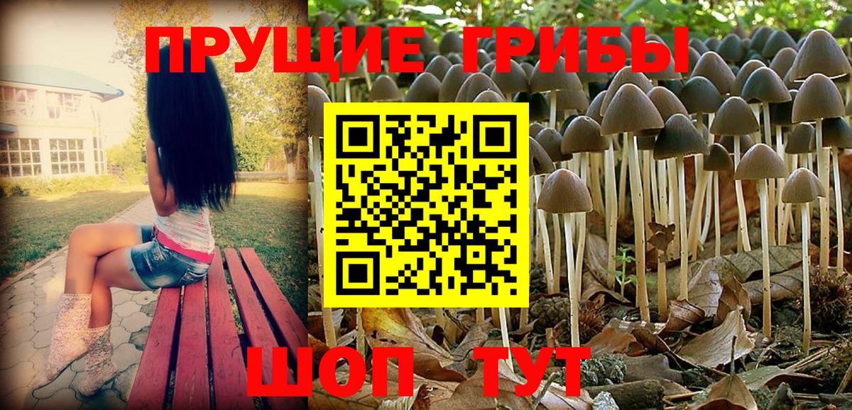 Галлюциногенные грибы прущие грибы Биробиджан